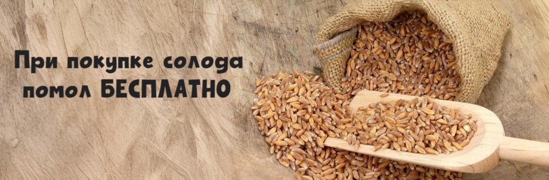 Помол солода