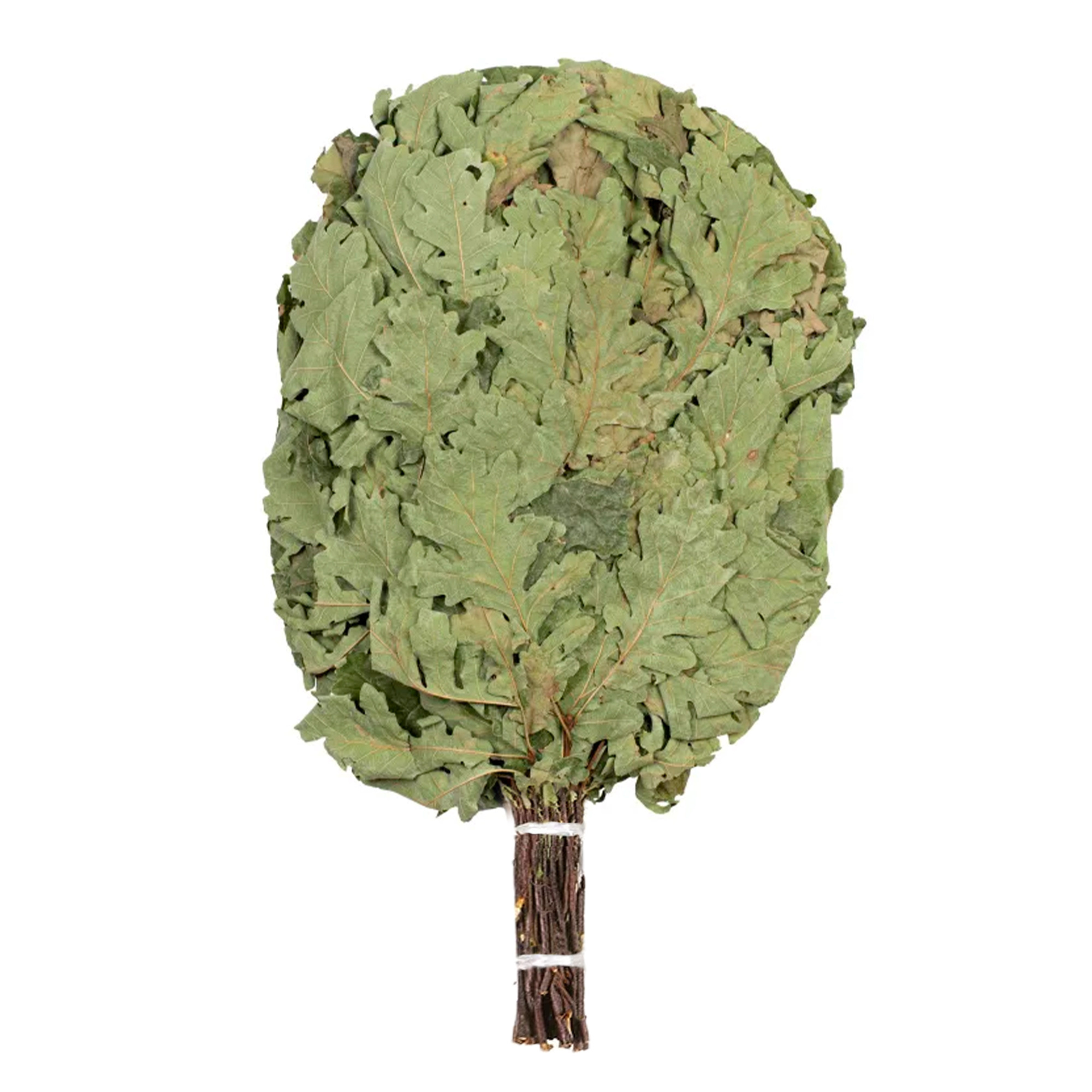 Веник дубовый